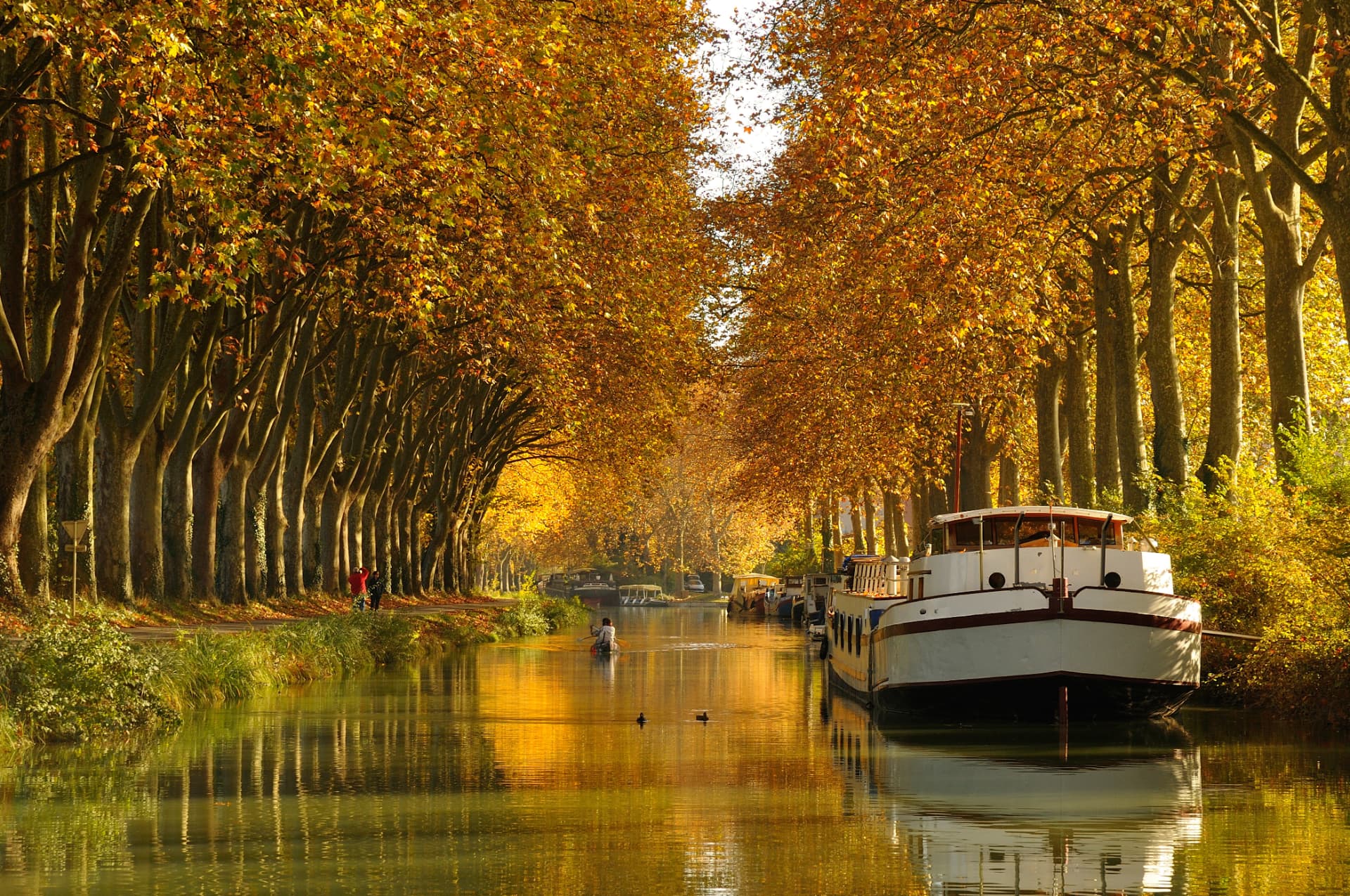 Canal du Midi en automne, péniches sous les platanes dorés